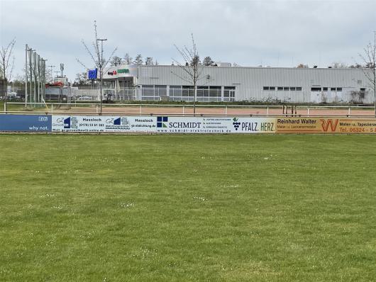 IMG_6031