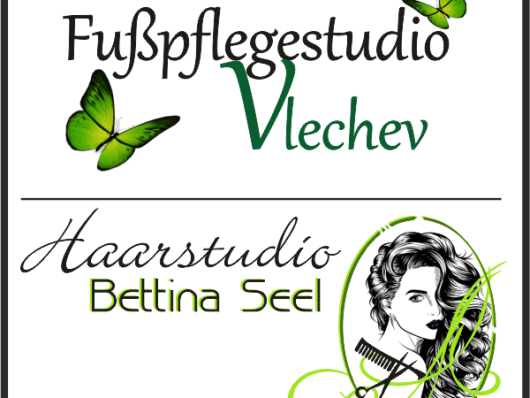 <img src="vlechev-seel.png" alt="Logo Vlechev Seel">